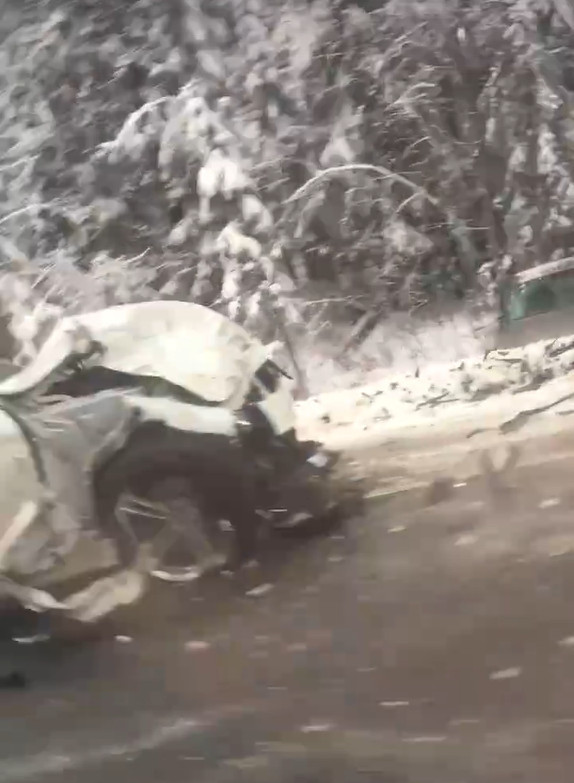Кадр из видео в vk.com/spb_today